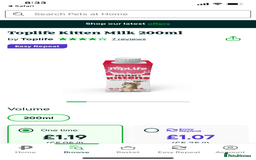 Ragdoll cats for sale: Lovely Ragdoll looking for lovely family - Advert 21