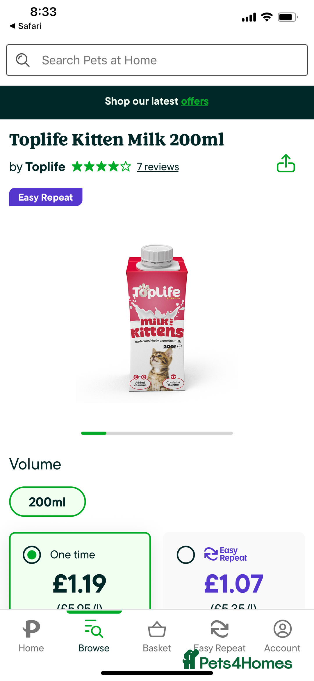 Ragdoll cats for sale: Lovely Ragdoll looking for lovely family - Advert 21