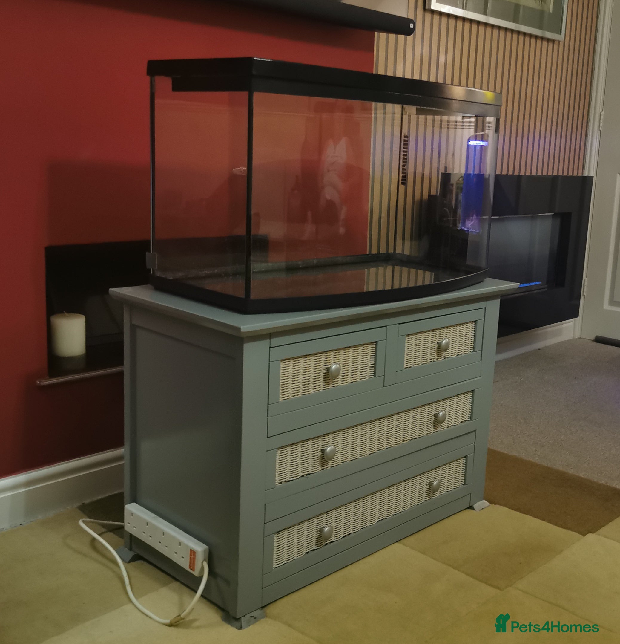 Platies fish Bow front tank with 4 draw cupboard stand - Advert 2