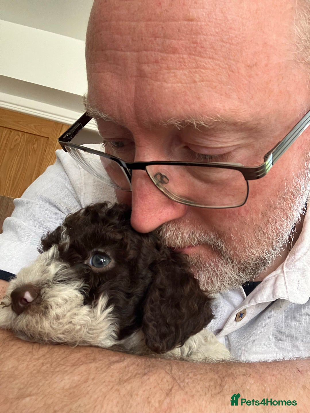 Gallery Image {{count}}