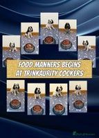 Cocker Spaniel dogs - Advert 12