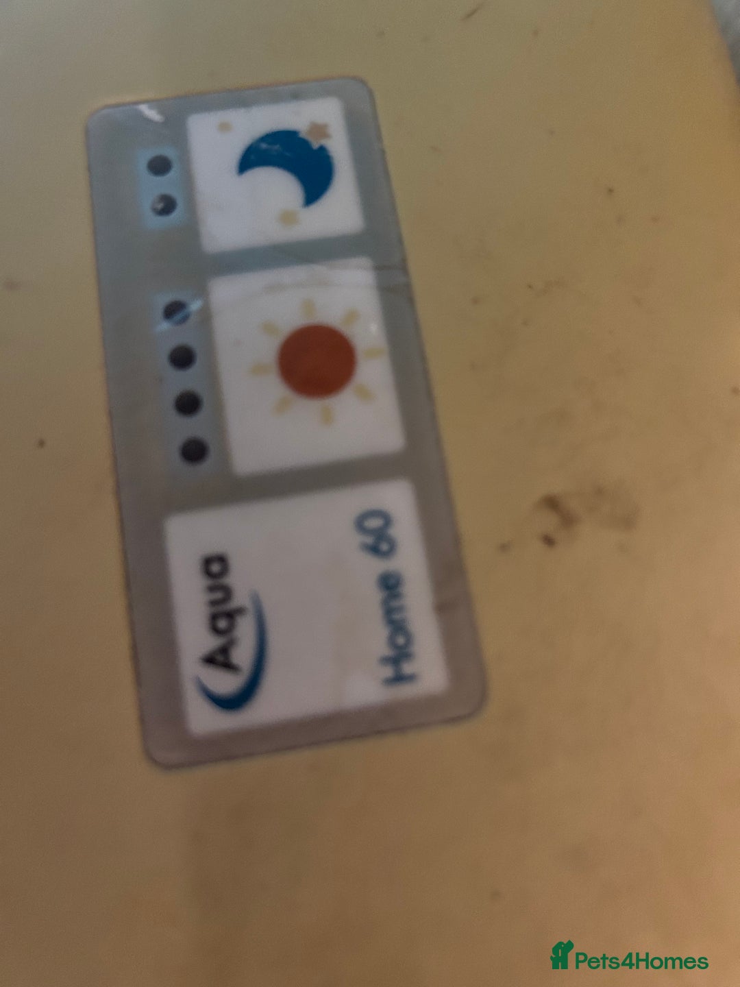 Platies fish for sale: Superfish 60l aquarium  - Advert 4