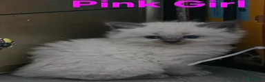 Pink girl