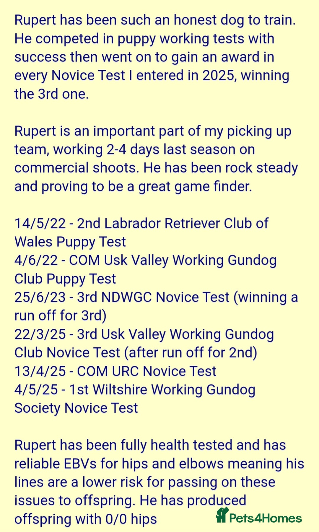 Labrador Retriever dogs for sale: All viewings booked or puppies reserved - Advert 10