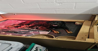 Mixed Breed dogs - Advert 5