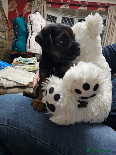 Gallery Image {{count}}