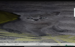 British Shorthair cats for sale: 1 left Stunning British shorthair kittens - Image 7