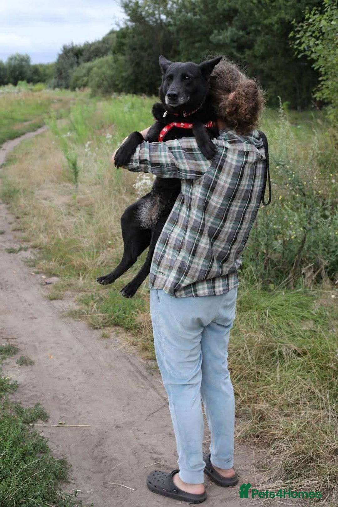 Mixed Breed dogs for adoption: 💖🐶 MARY 🐶💖 - Advert 23