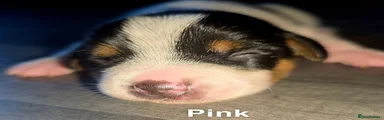 Gone