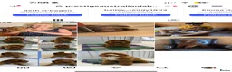 Australian Labradoodle dogs for sale: Multigenerational Australian Labradoodle puppies - Advert 9