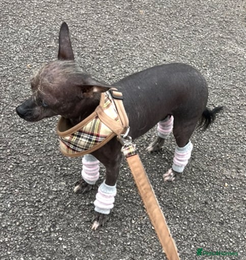 Gallery Image {{count}}