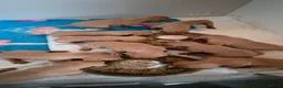 Hungarian Vizsla dogs for sale: Pedigree Hungarian Vizsla pups. Show/working/pet - Advert 3