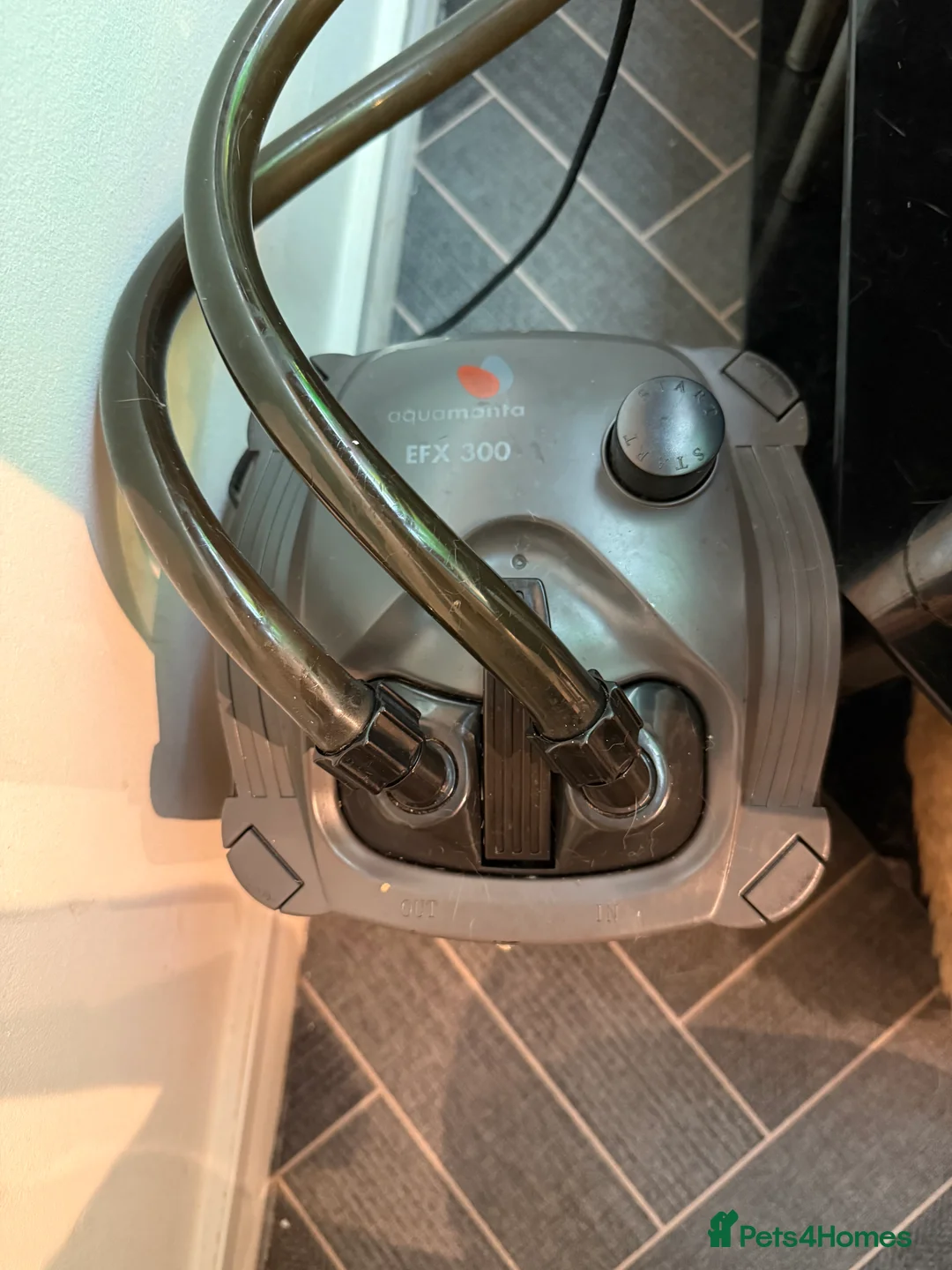 Mollies fish for sale: Tropical Fish Tank 160 litters - Advert 9