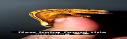 Gecko reptiles for sale: Crested gecko for sale  - Advert 1