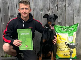 Dobermann dogs 4 EXCEPTIONALLY WELL BRED FEMALES ( REBEL X COLT) - Advert 1