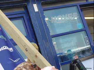 Miniature Dachshund dogs - Advert 1