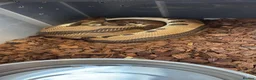 Python Snake reptiles for sale: Rack and 5 royals  in Rugeley - Advert 3