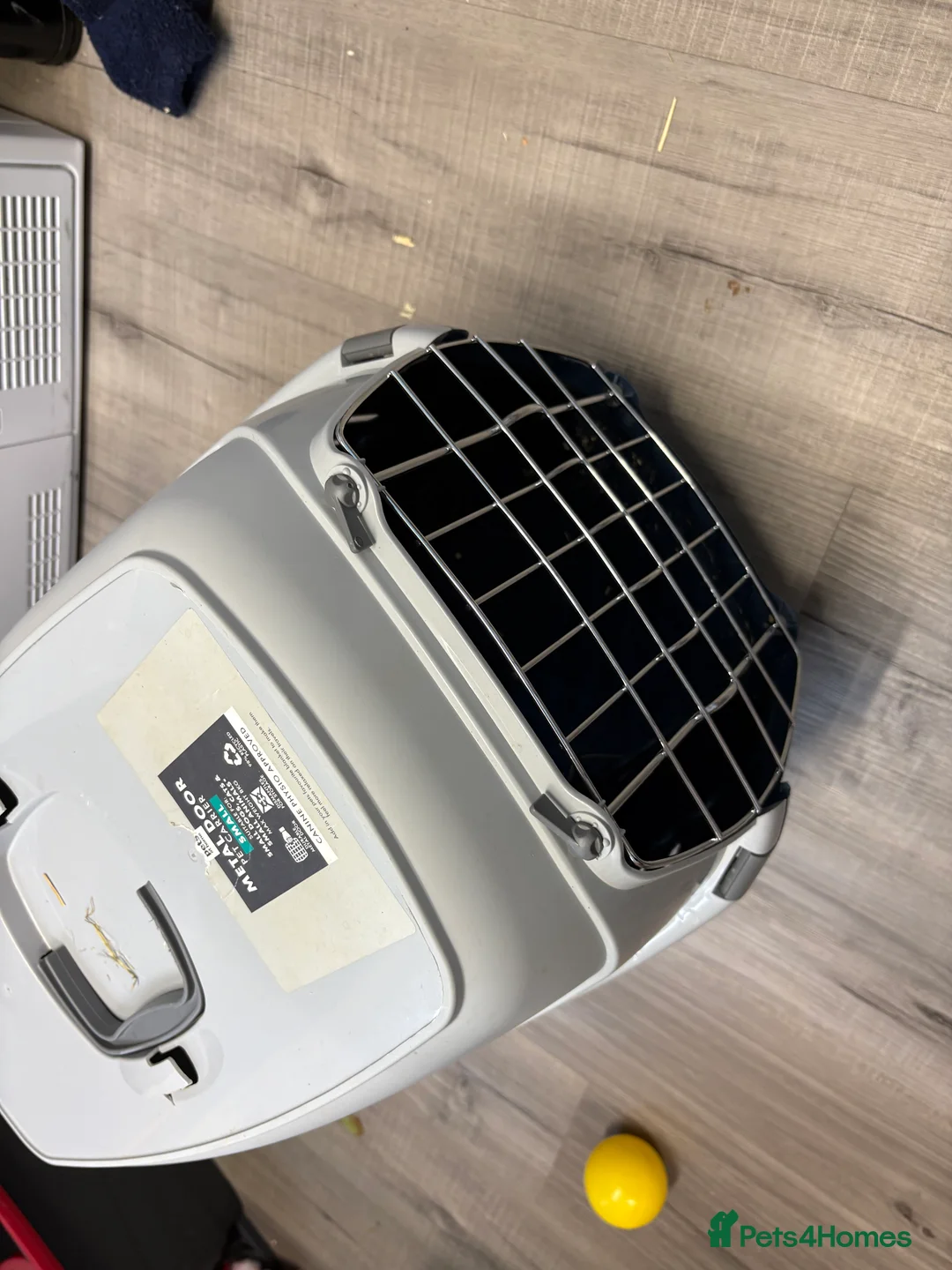 Mixed Breed rabbits for sale: Mini lop cross male rabbit - Advert 7