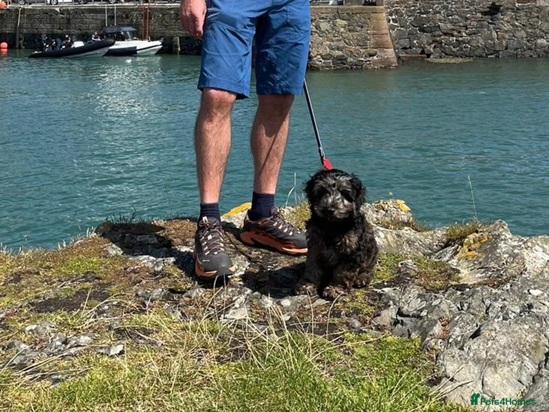 Gallery Image {{count}}