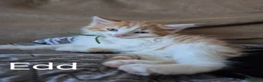 Edd
