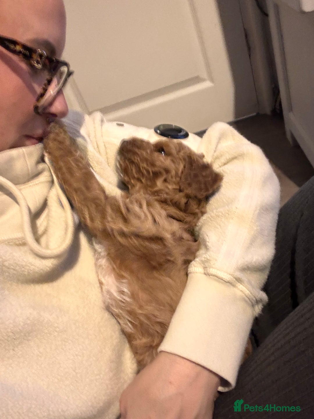 Gallery Image {{count}}