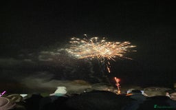 French Bulldog dogs for sale: French Bulldog (Blu) - Image 3