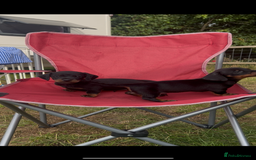 Miniature Dachshund dogs for sale: Miniature Dachund  - Image 5