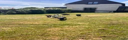 Sprocker dogs for sale: Sprocker/sprockador in Barnstaple - Advert 21