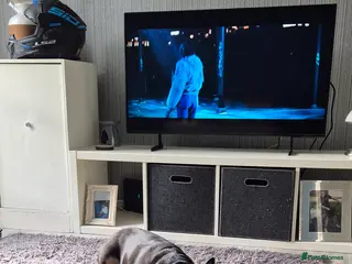 French Bulldog dogs Little Roxy - Advert 18