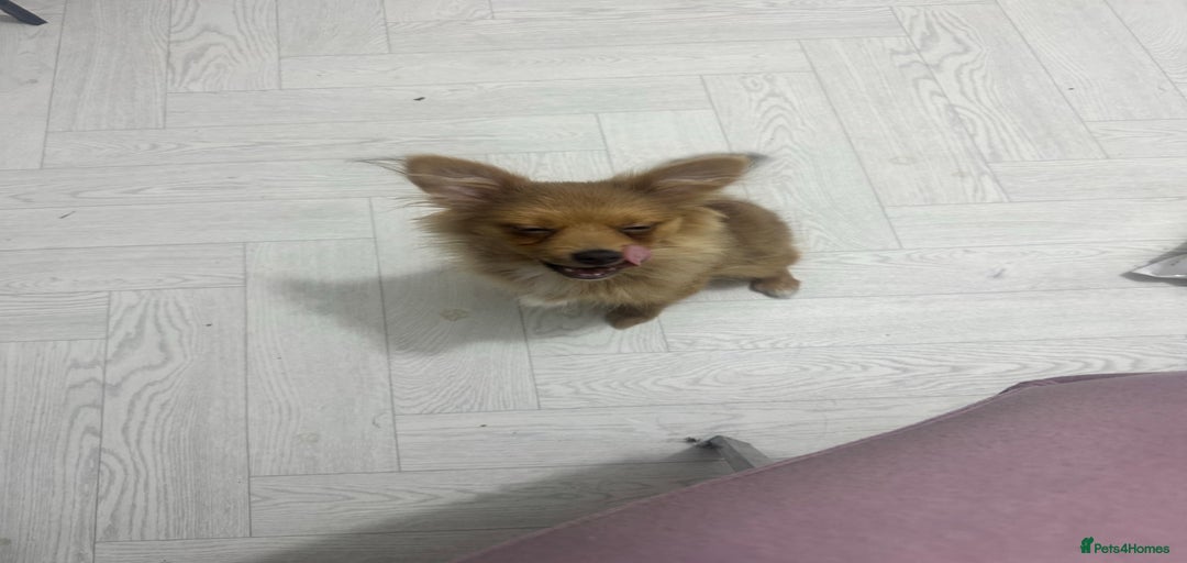 Gallery Image {{count}}