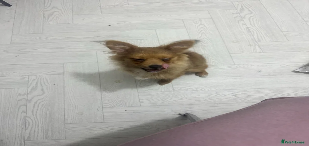 Gallery Image {{count}}