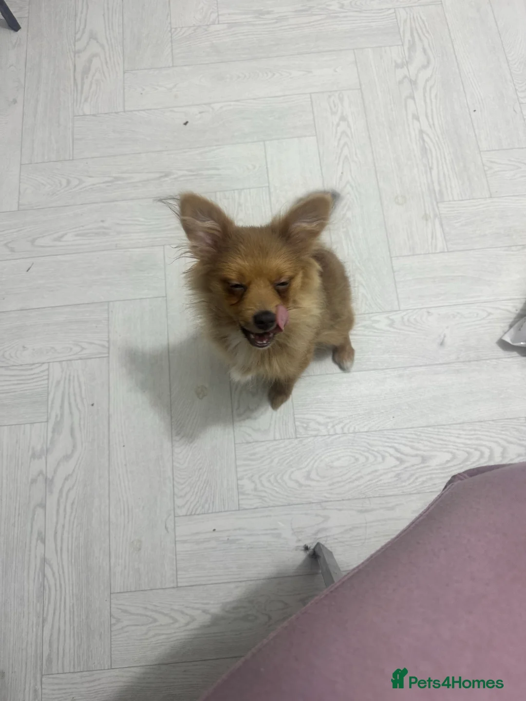 Gallery Image {{count}}