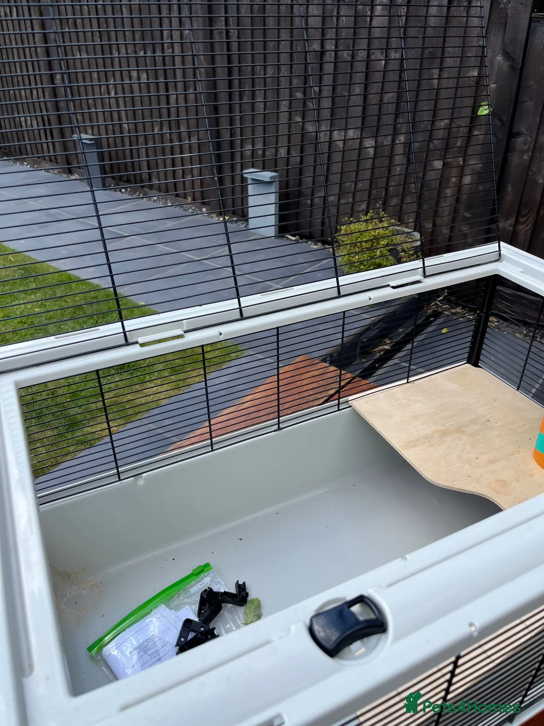 Hamster rodents for sale: Syrian hamster cage in Surbiton - Advert 2