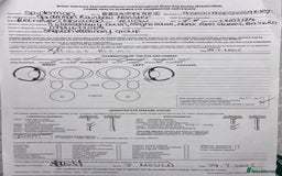 Labrador Retriever dogs for sale: Plump little Red Labrador Puppies! - Image 3