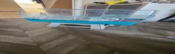 Hamster rodents for sale: dwarf hamster girl 14 weeks  - Advert 4