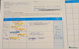 Golden Retriever dogs for sale: KC Golden retriever for sale - Advert 7