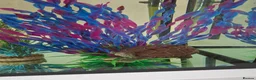 Turtle reptiles for sale: Reeves turtle with full set up - Advert 6