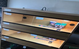 Leopard Gecko reptiles for sale: Leopard Gecko + Vivarium Setup Kit - Image 7