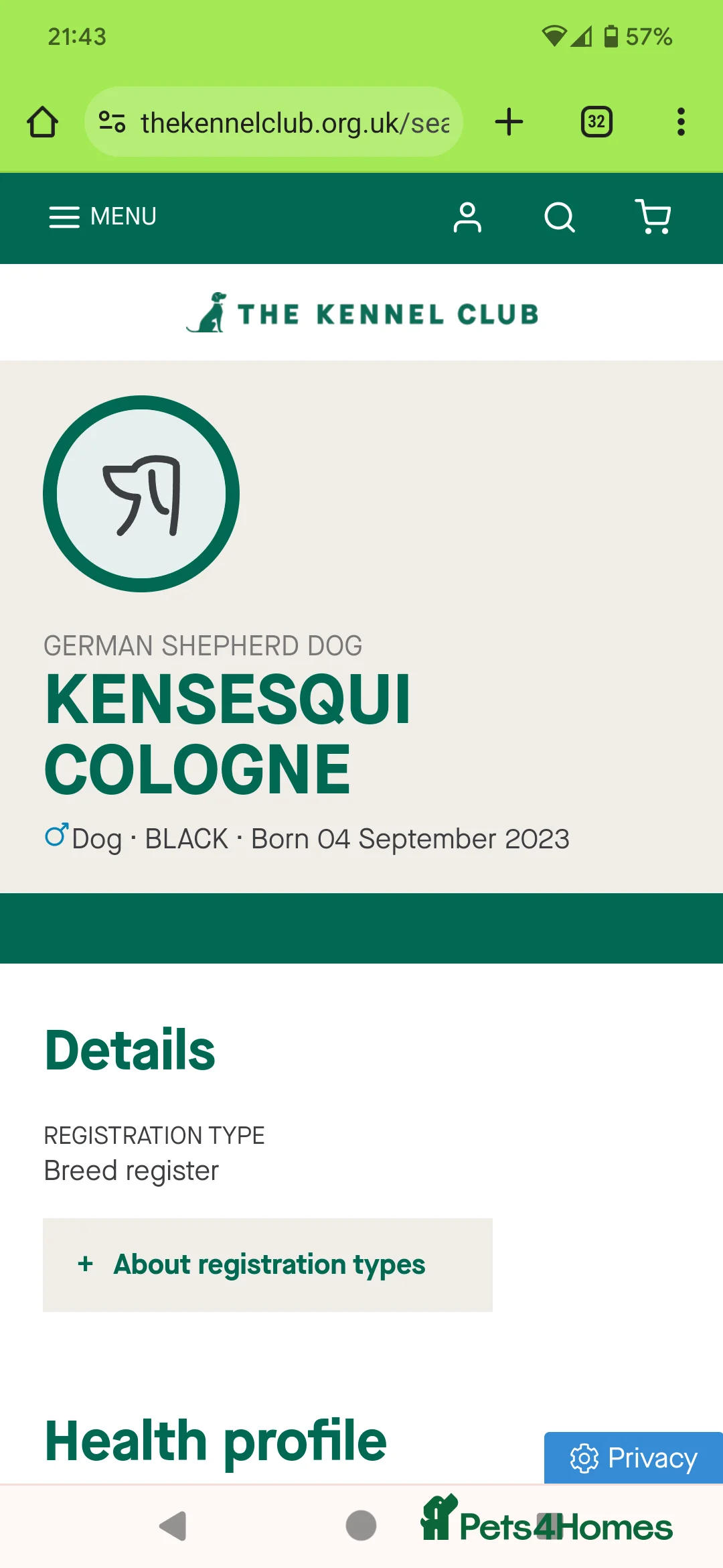 German Shepherd dogs for stud: Black German Shepherd Stud KC  in Halesowen - Advert 8