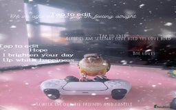 Conures birds for sale: Beautiful Male Conure for Sale  - Advert 3