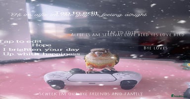 Conures birds Beautiful Male Conure for Sale  - Advert 13