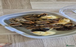 Quail poultry for sale: Cortinoux quial hatching eggs - Image 3