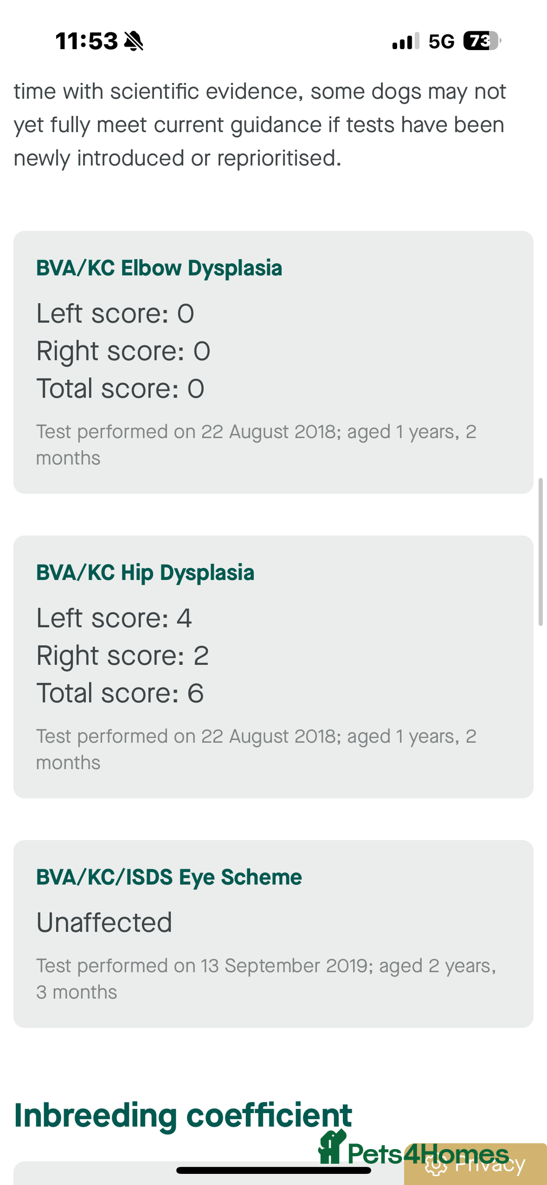 Goldendoodle dogs for sale: Health tested F1 Goldendoodle puppies  - Advert 11