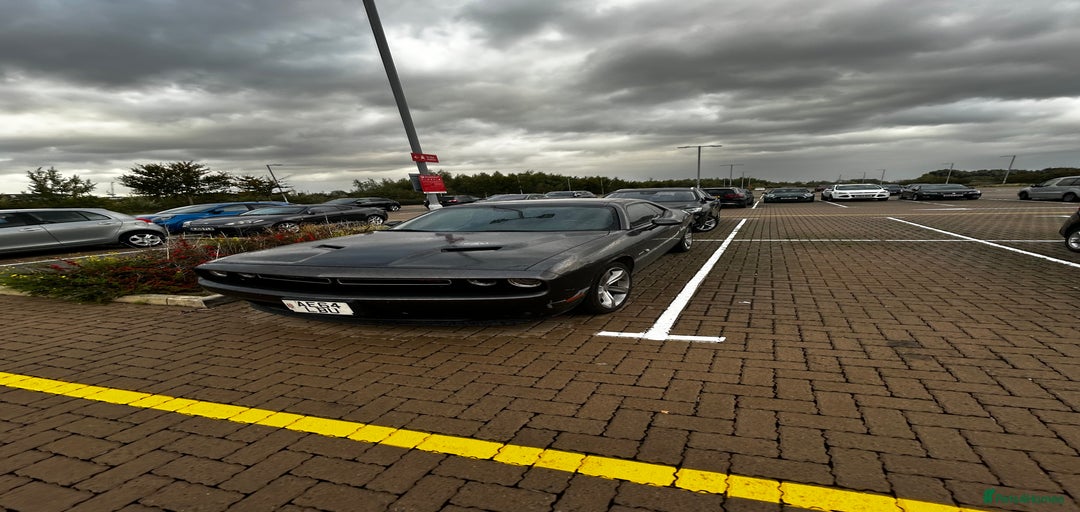 Gallery Image {{count}}