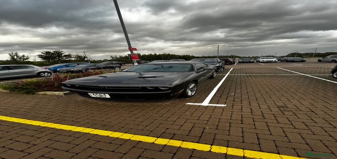 Gallery Image {{count}}