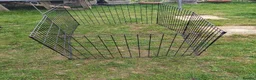 Mini Lop rabbits for sale: Mini lop rabbits  in Yeovil - Advert 6