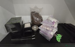 Python Snake reptiles for sale: 2 x royal ball pythons with complete set up - Image 16