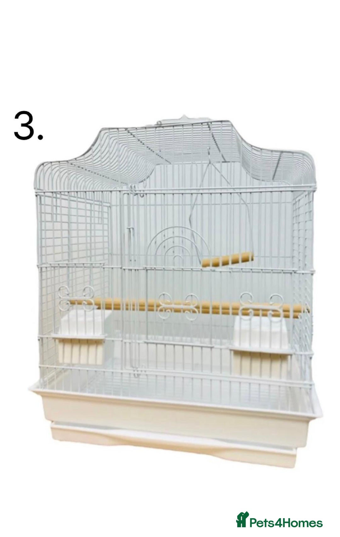 Budgerigars birds for sale: Budgies for Sale, all in good health  - Advert 27