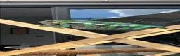 Chameleon reptiles for sale: Ambanja chameleon with full set up  in Luton - Advert 1