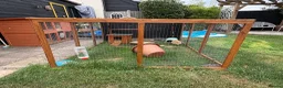 Harlequin rabbits for sale: 6 month old female rabbit - Advert 7